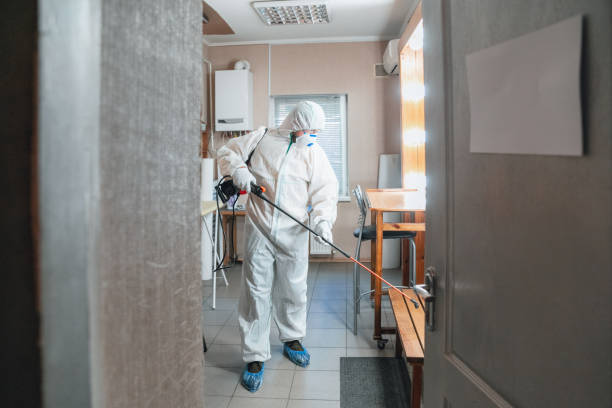 Best Water Damage & Mold Remediation  in Muskego, WI