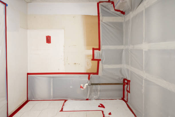  Muskego, WI Mold Removal Pros